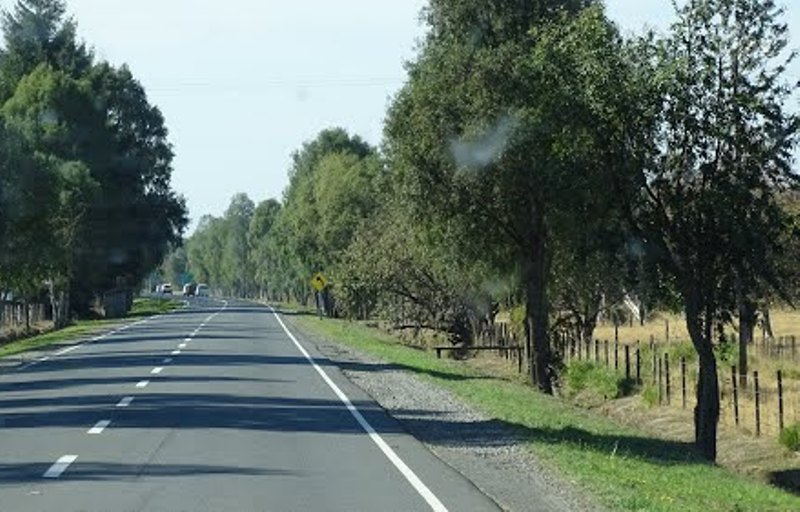 Foto Destacada