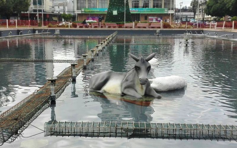 Foto Destacada