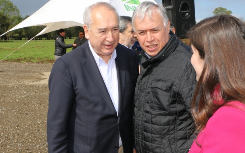 Foto Destacada